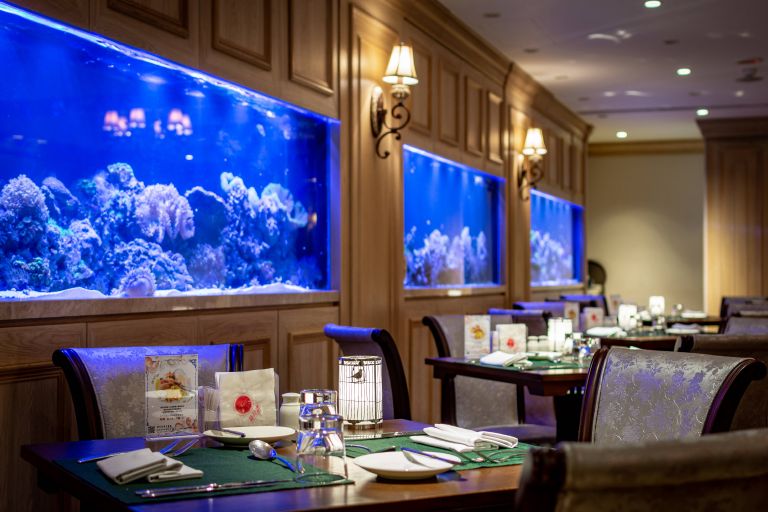 海洋生態魚缸餐廳